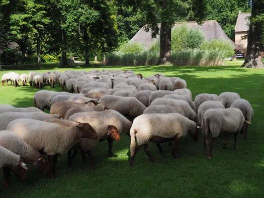 Openluchtmuseum Bokrijk (België)